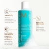 MOROCCANOIL – Regenerierendes Shampoo(250 ml (1er Pack))