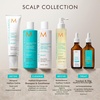 Moroccanoil Scalp Balancing Shampoo, 250 ml(250 ml (1er Pack))
