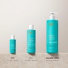 Moroccanoil Shampoo and Conditioner Set(Frizz Control)