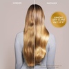 Moroccanoil Behandlung(Light)