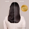 Moroccanoil Behandlung(Original)