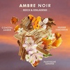 Moroccanoil Handcreme(Ambre Noir)
