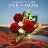 Moroccanoil Handcreme(Dahlia Rouge)