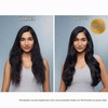 Moroccanoil-Behandlung Haar-Öl(25 ml)